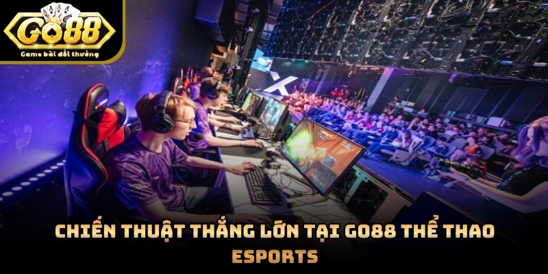 Người chơi theo dõi các trận đấu trực tiếp với đồ họa cao