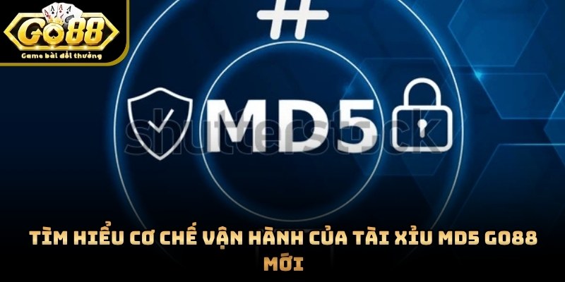 Mã băm MD5 hiển thị công khai ngay trên giao diện bàn cược